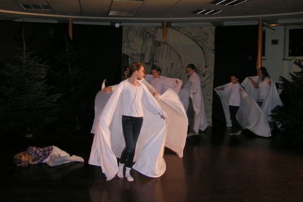 Die sieben Schw�ne